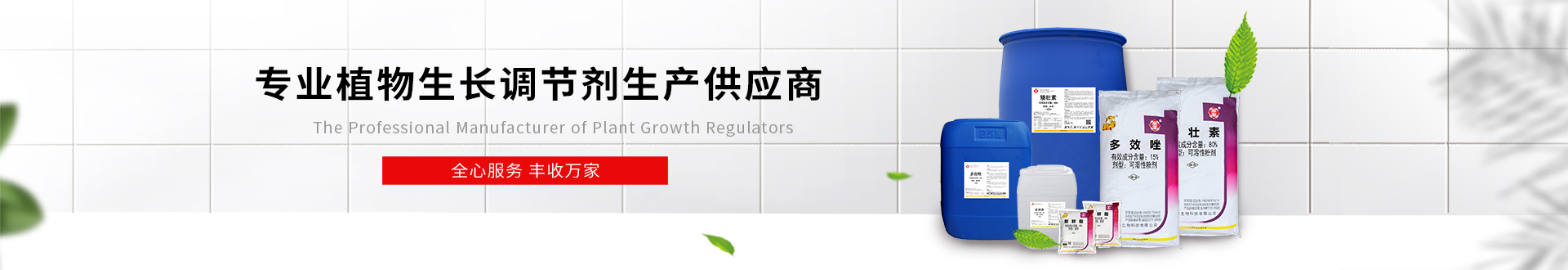 聯(lián)系我們
