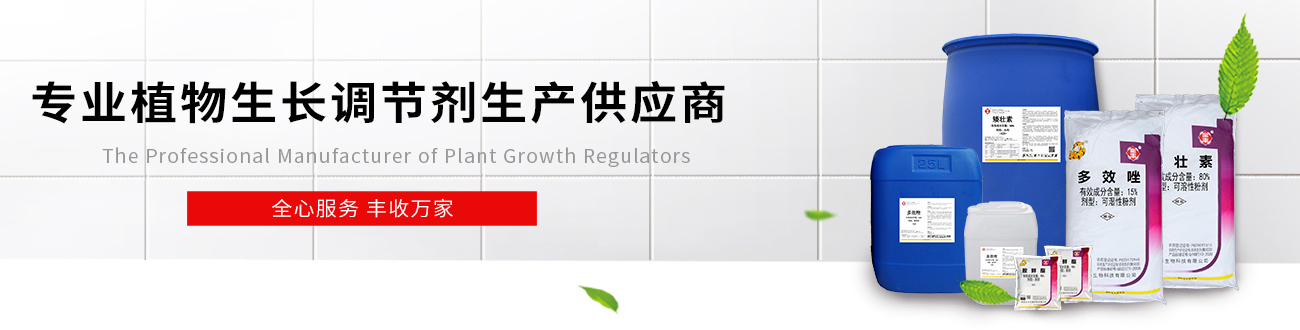 聯(lián)系我們
